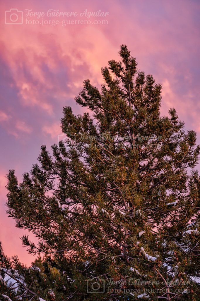 Atardecer en Borreguiles. Sierra Nevada. Enero del 2022.
