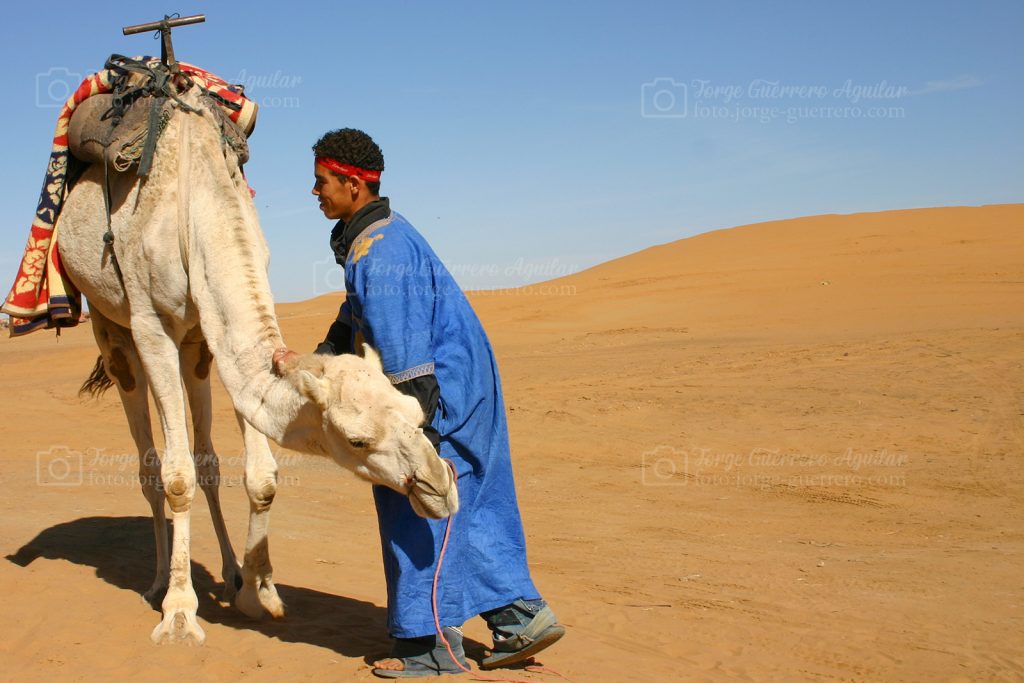 Camellero en Merzouga. Street photography. Marruecos.