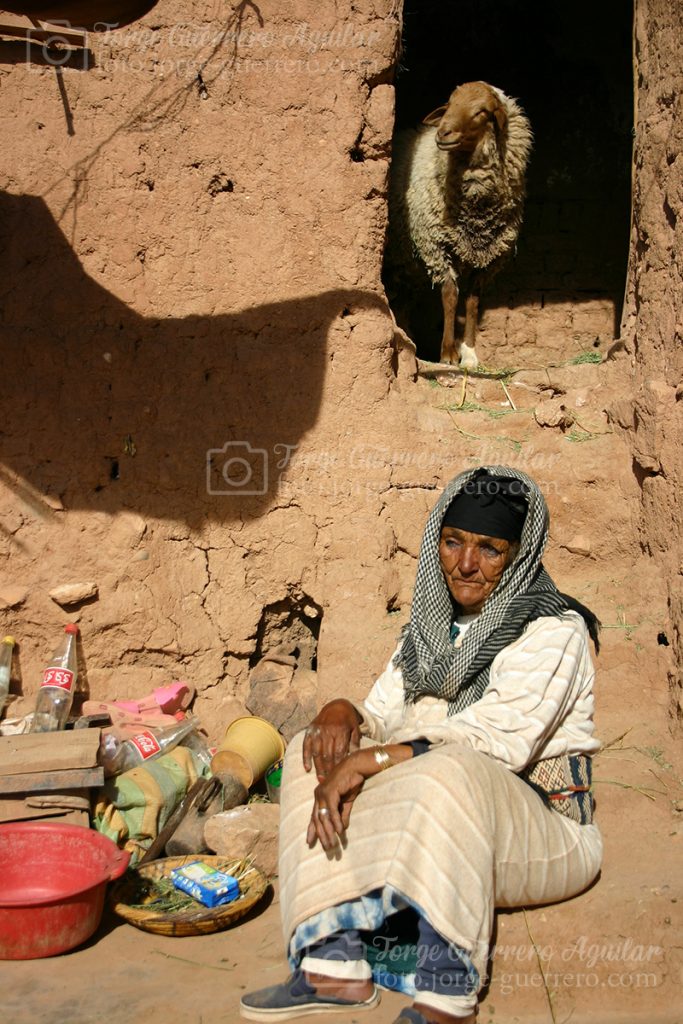 Rabeah y su carnero en Ait Ben Addou. Street photography. Marruecos.
