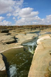 Playa Blanca. Febrero del 2007.